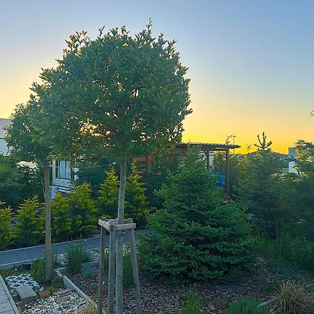 Domceky Holiday home