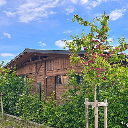 Domceky Holiday home *